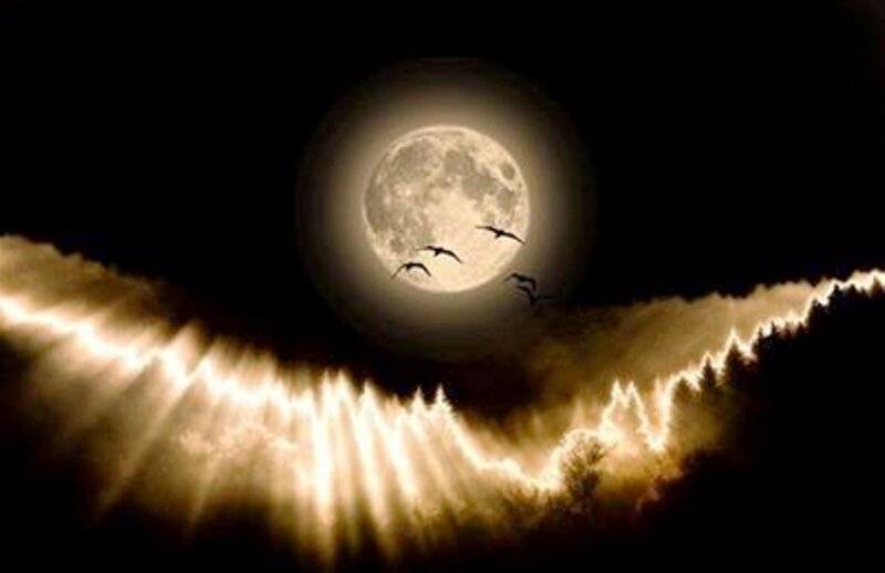 Full Moon with Birds