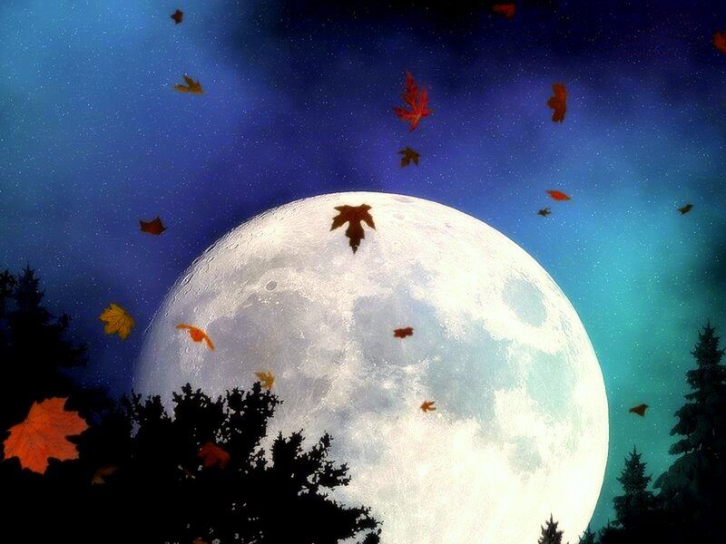 Full Moon with Falling Leaves