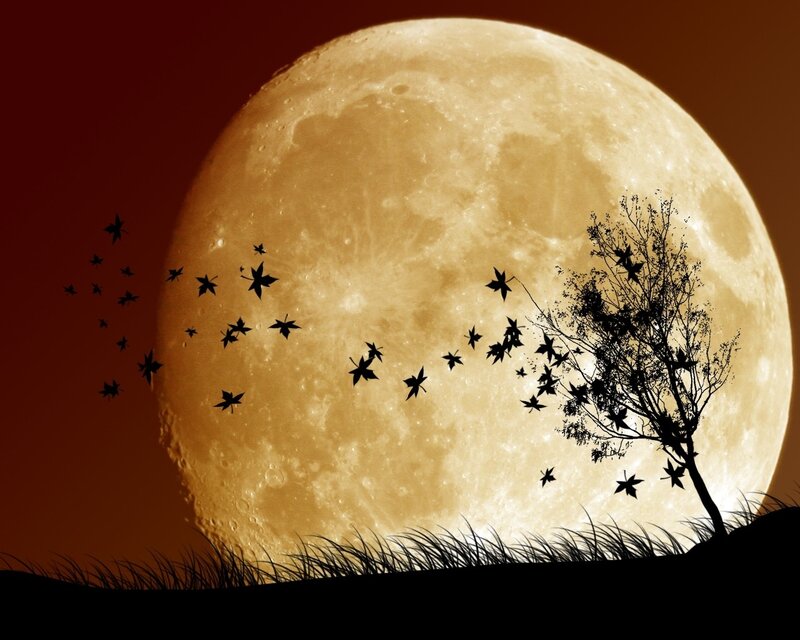 Full moon with silhouettes