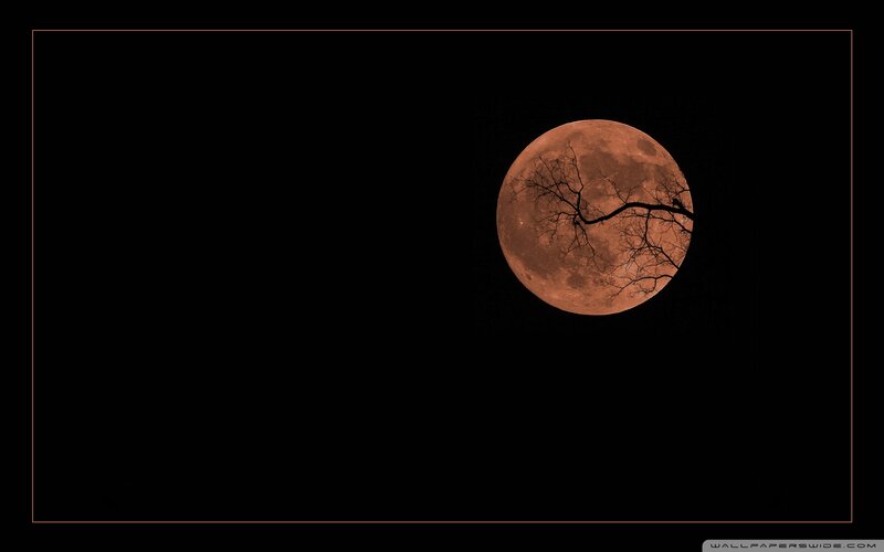 Full Moon with Tree Branch