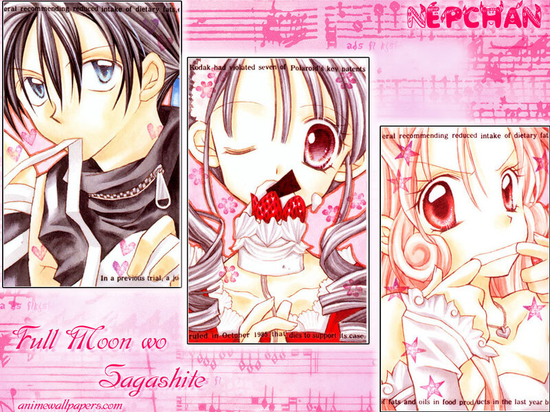 Full Moon wo Sagashite collage