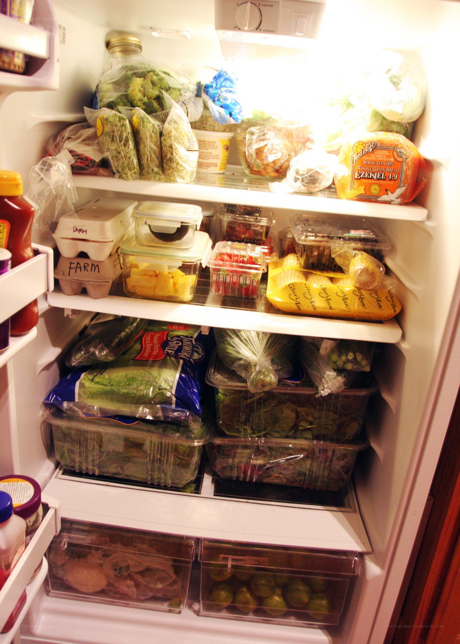 full refrigerator with groceries