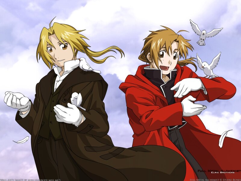 Fullmetal Alchemist brothers