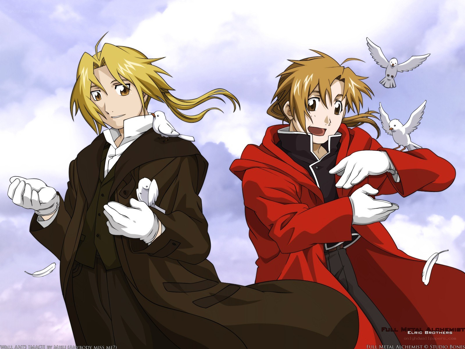 Fullmetal Alchemist brothers
