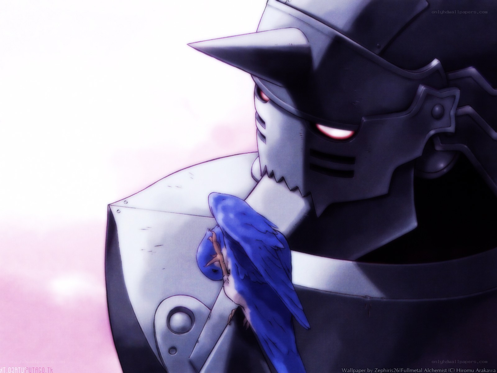Fullmetal Alchemist character with bird