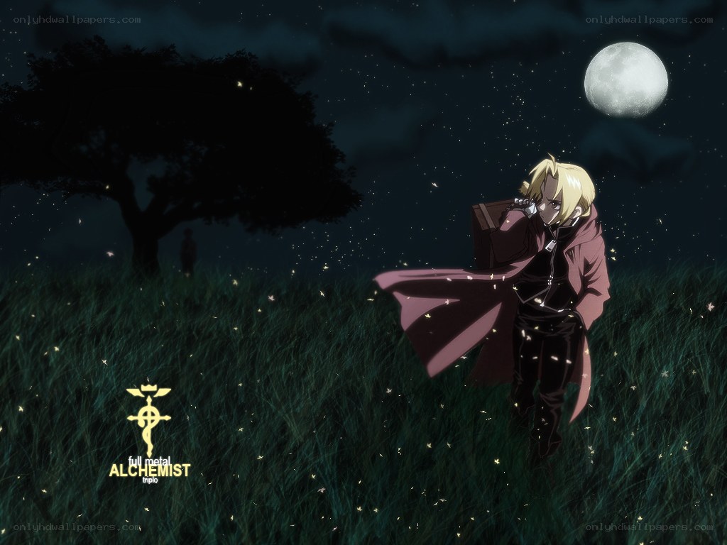 Fullmetal Alchemist: Night Walk