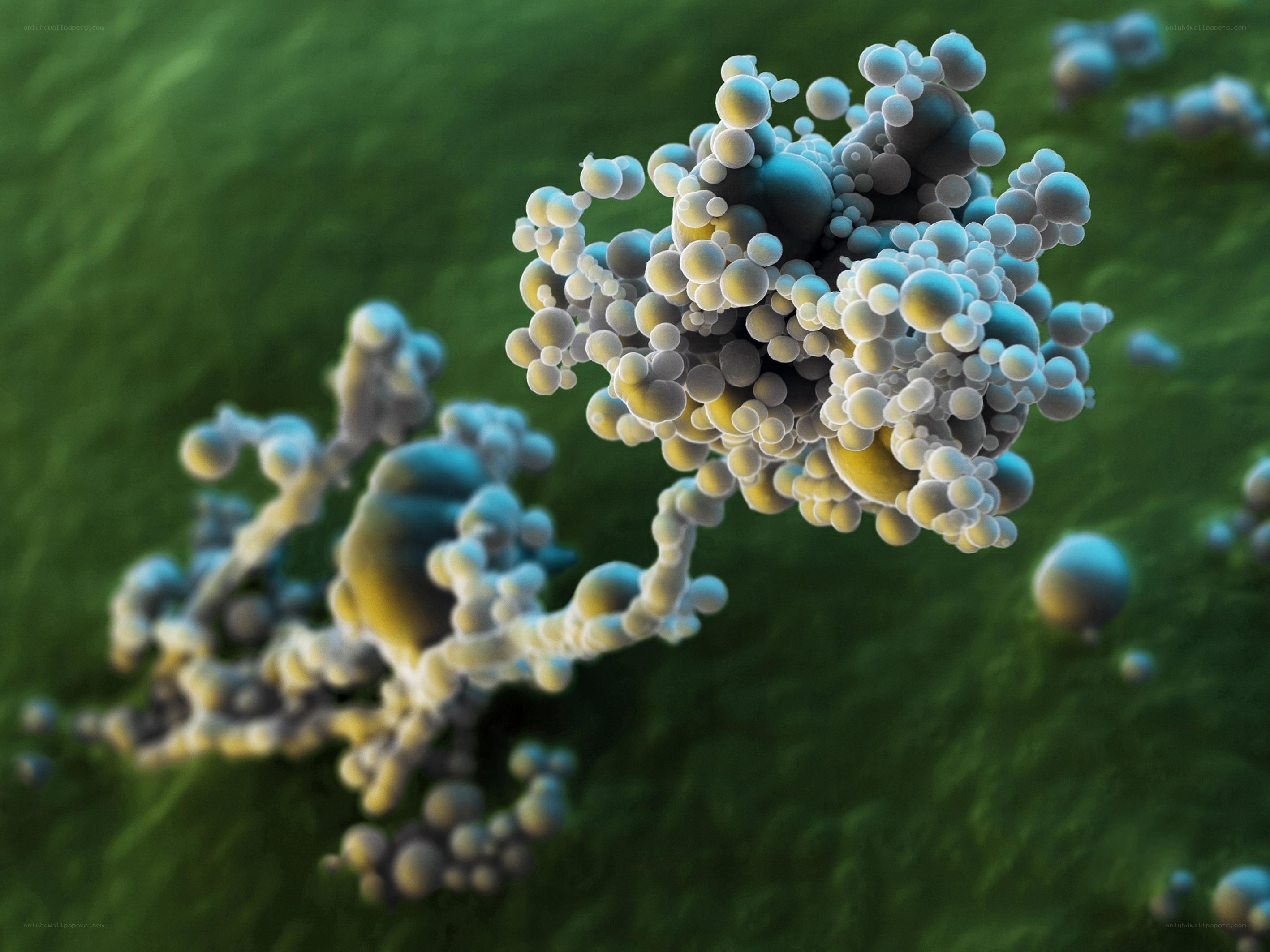 Fungal spores on green surface