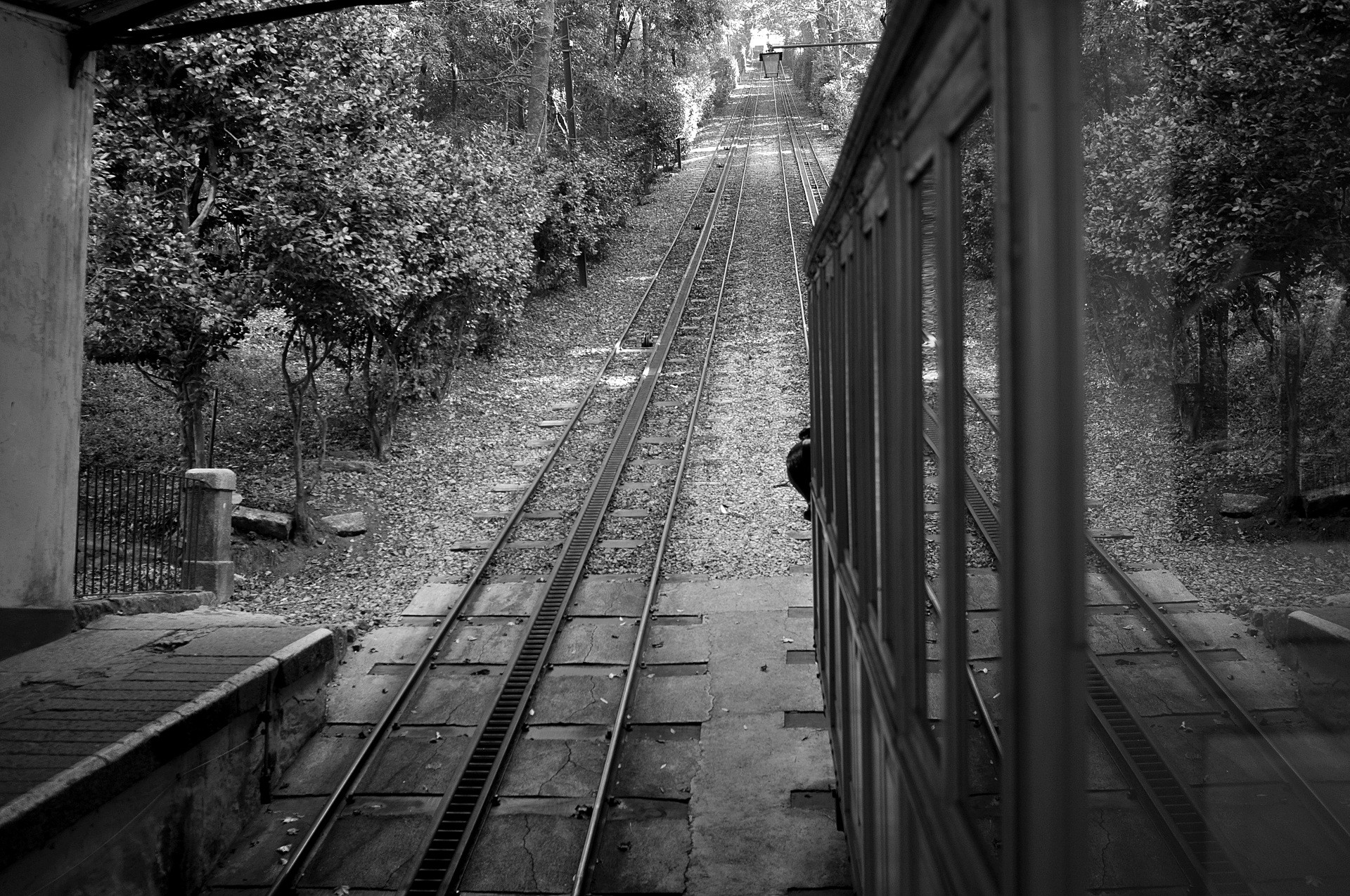Funicular railway in a forest