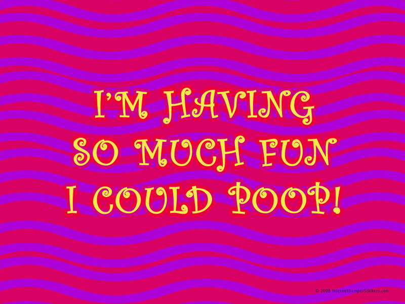 funny text on colorful background