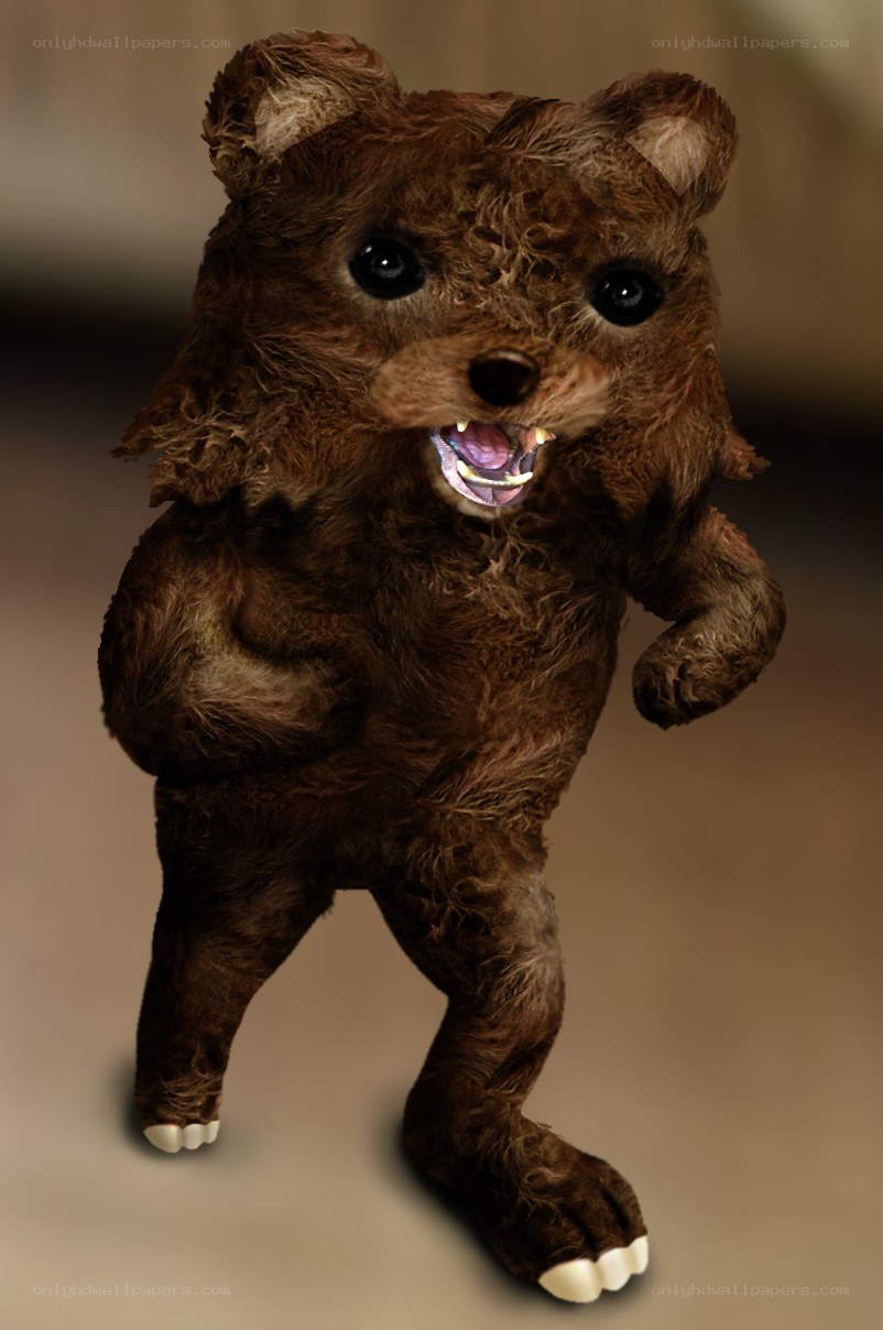 furry bear creature