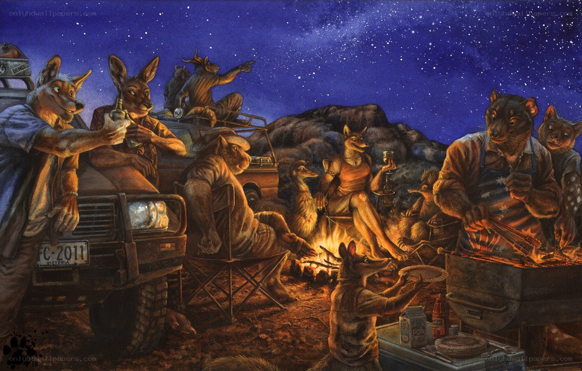 Furry campers under stars