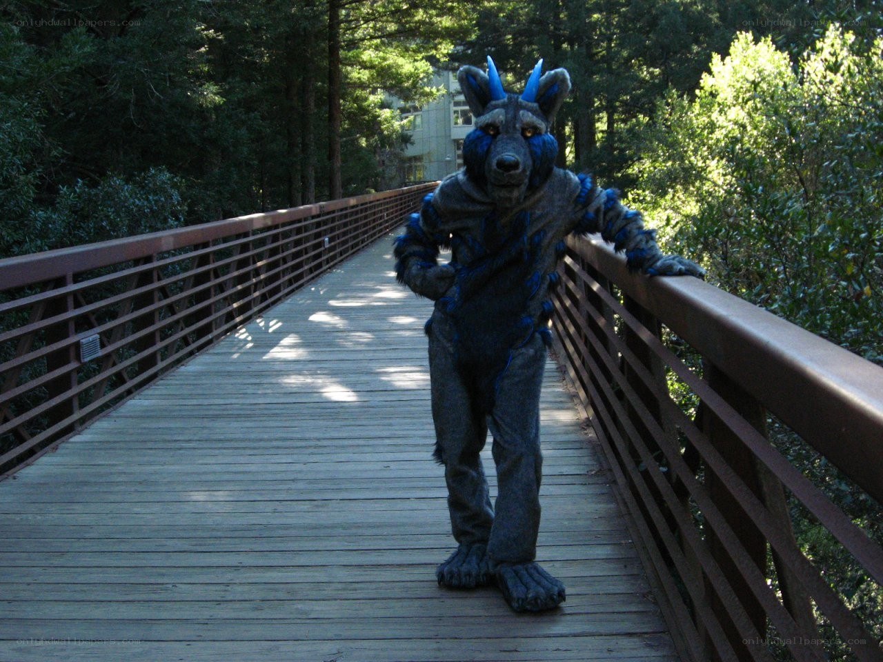furry costume on a bridge