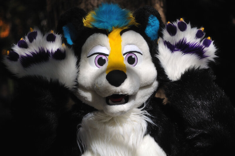 furry costume with colorful fur