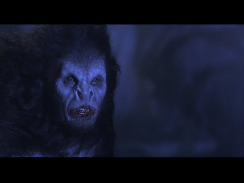 Furry Creature Face