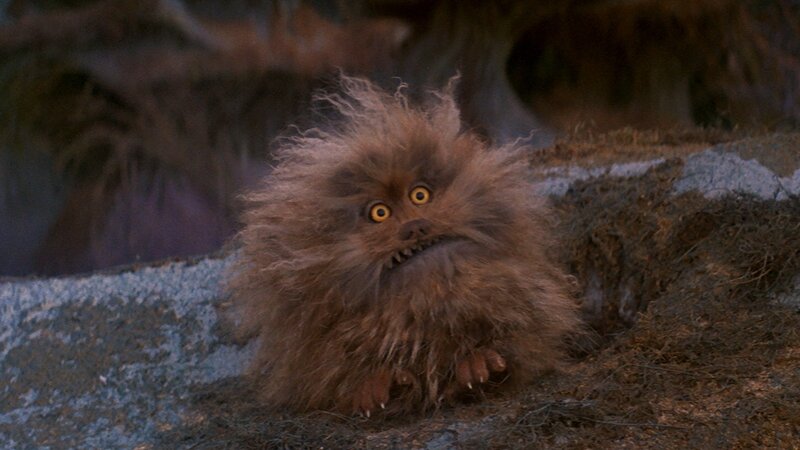 furry creature from the dark