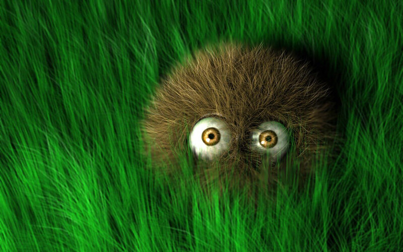 Furry Creature in Grass