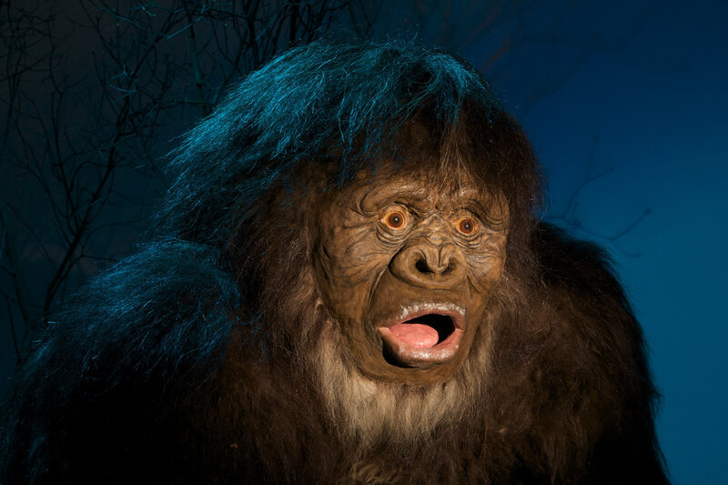 Furry Creature Model