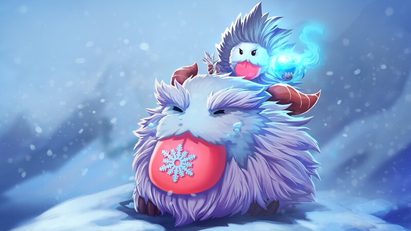 Furry Creatures in Snow
