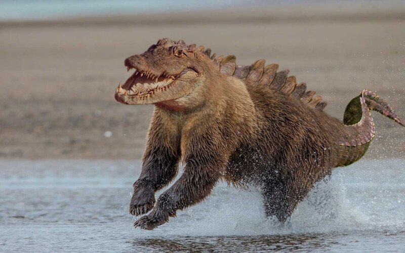 Furry Crocodile Creature — Brown