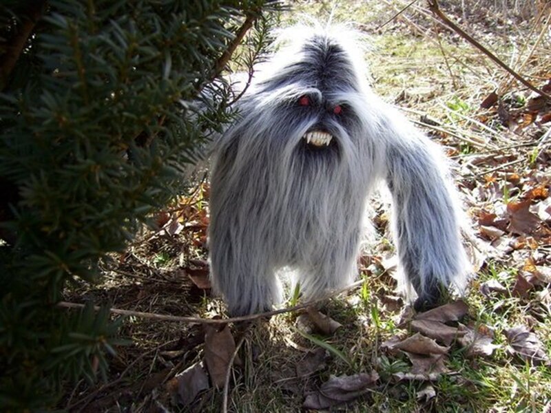 Furry Monster in Forest