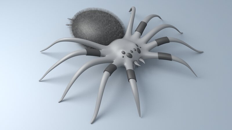 Furry Spider Creature