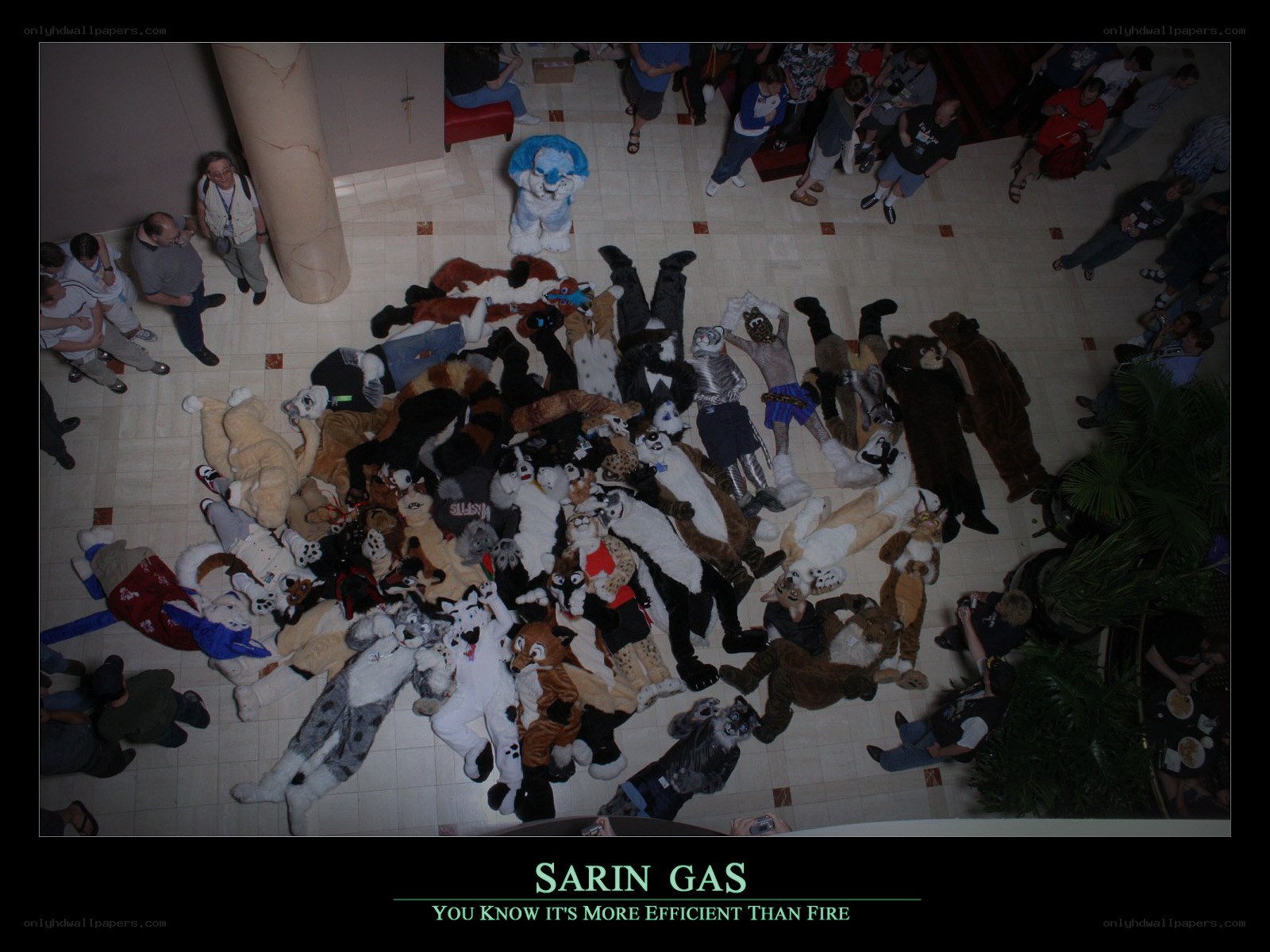 Fursuit group photo