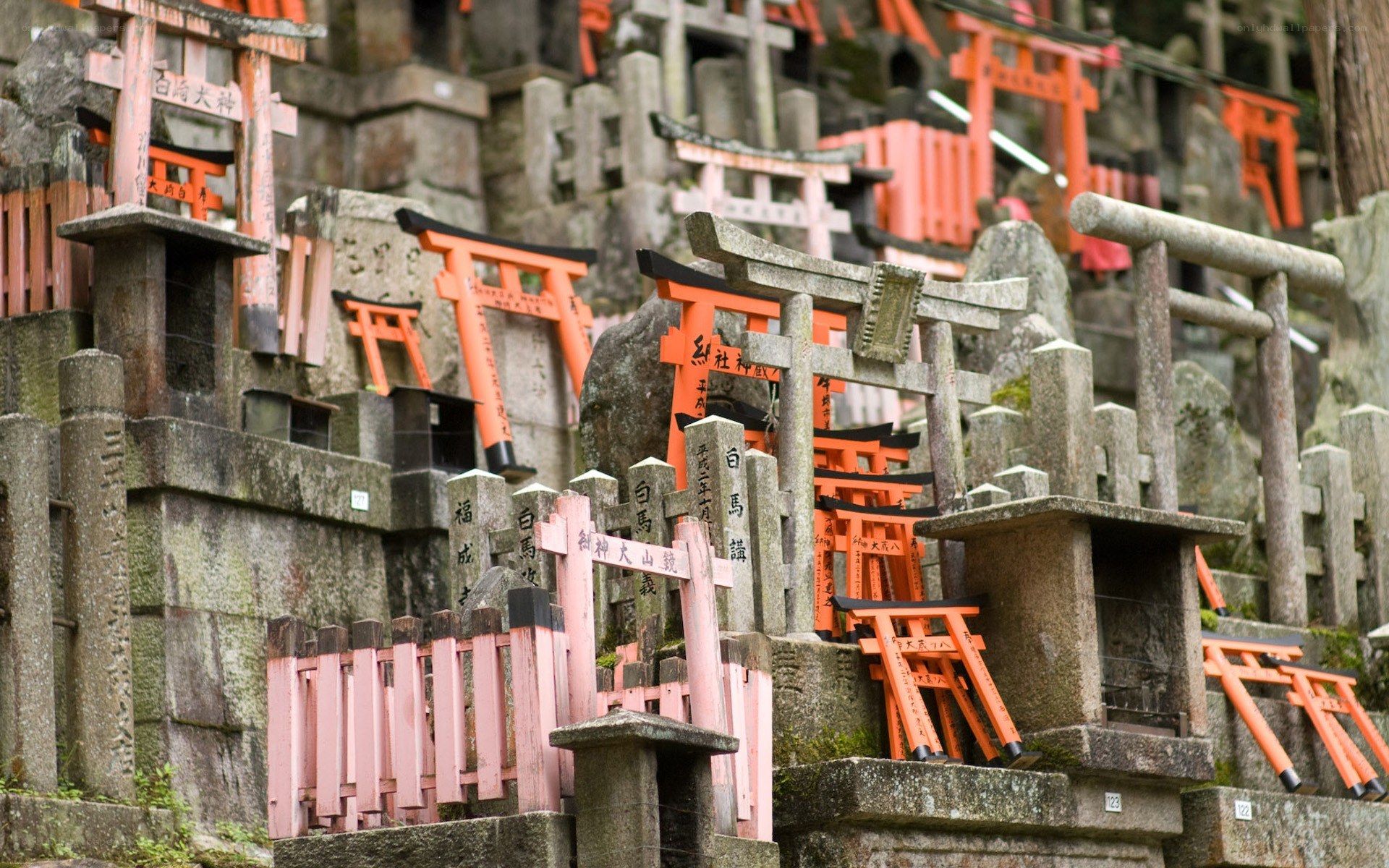 Fushimi Inari Shrine torii gates