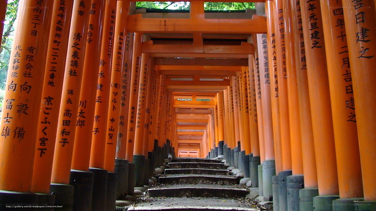 Fushimi Inari Shrine torii gates