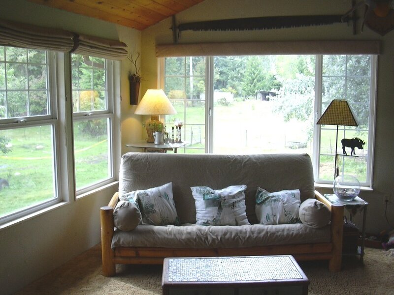 Futon Sofa in Sunroom