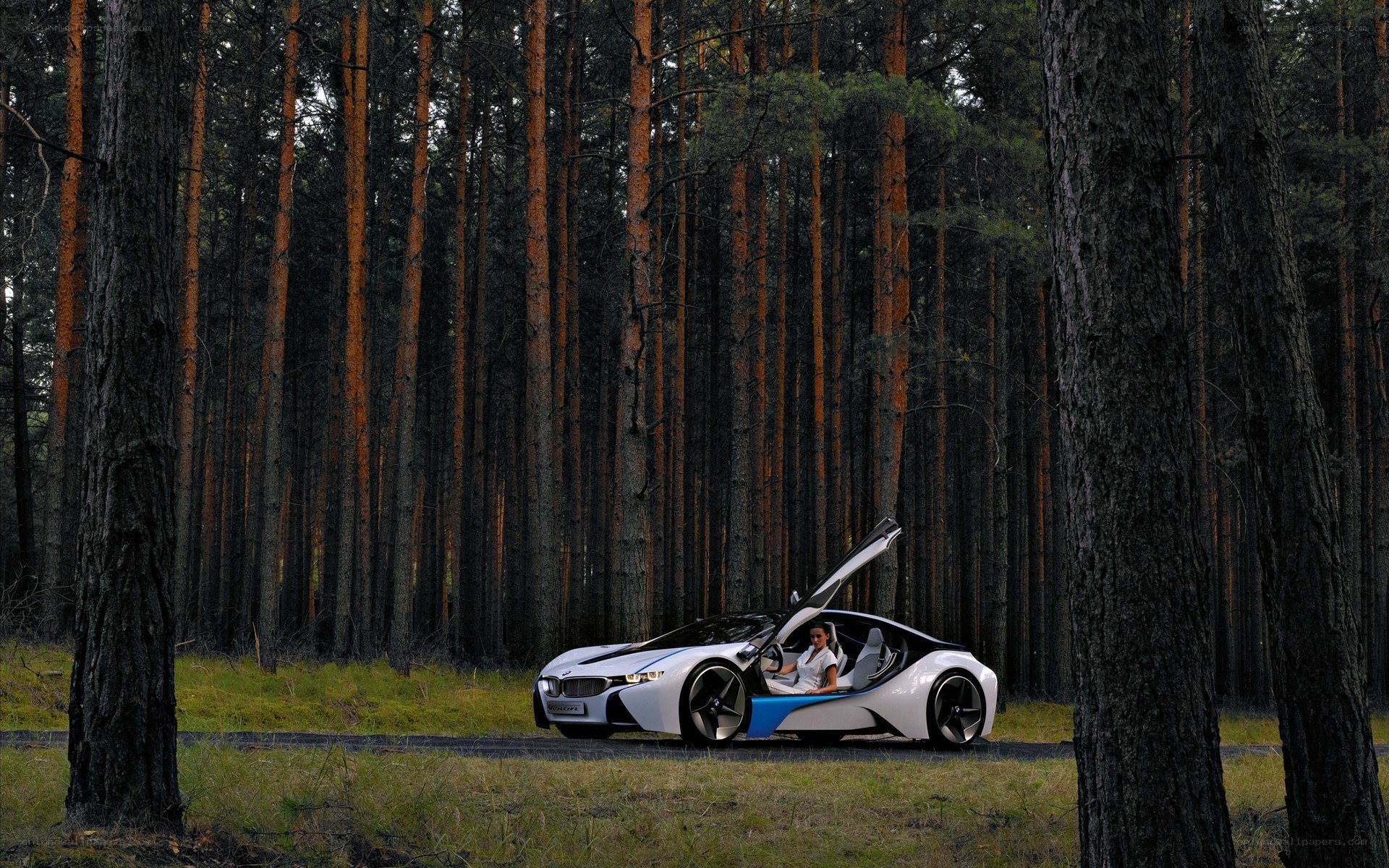 Futuristic car in forest
