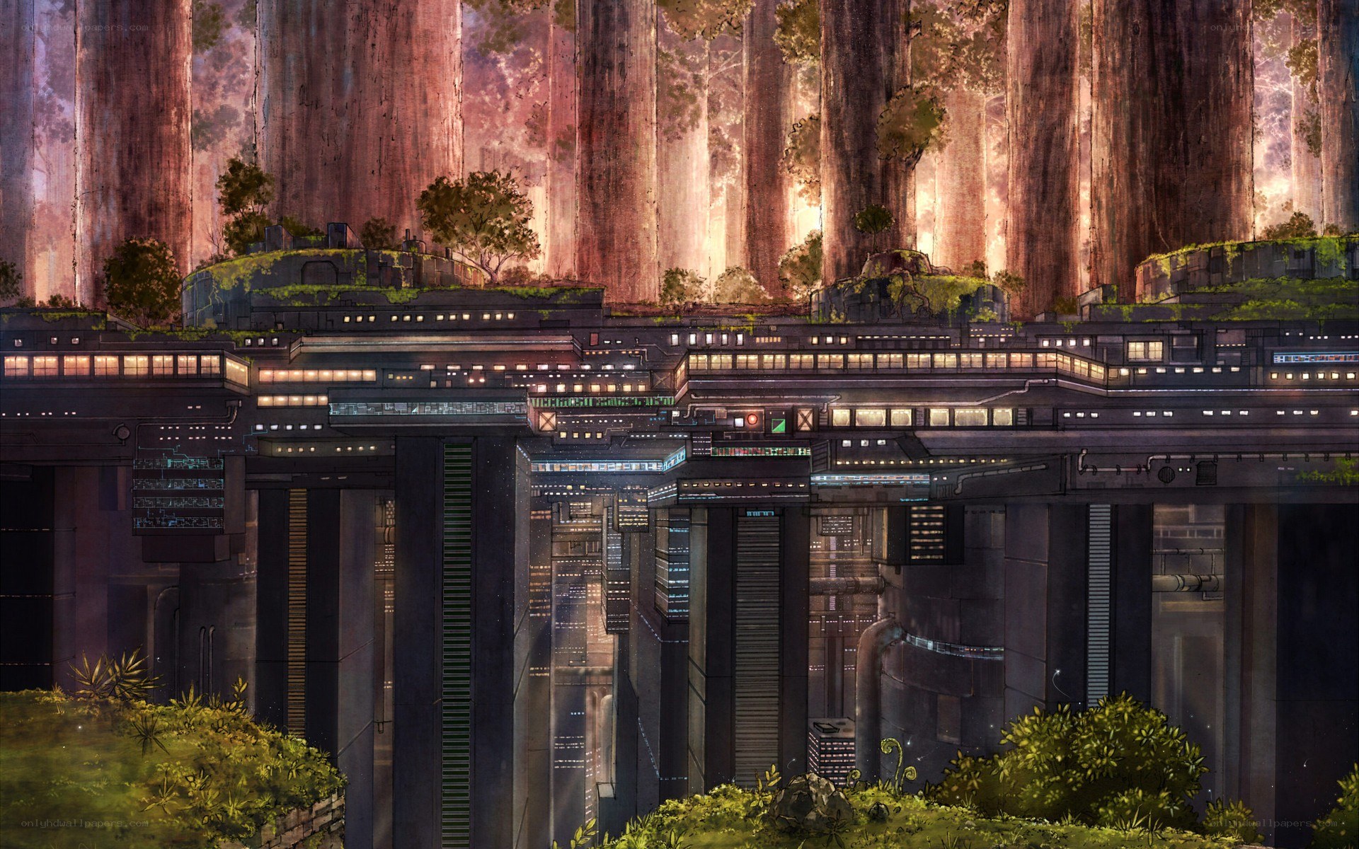 futuristic city in a forest