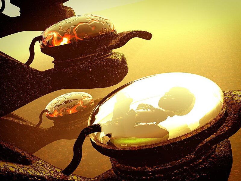 Futuristic incubation pods