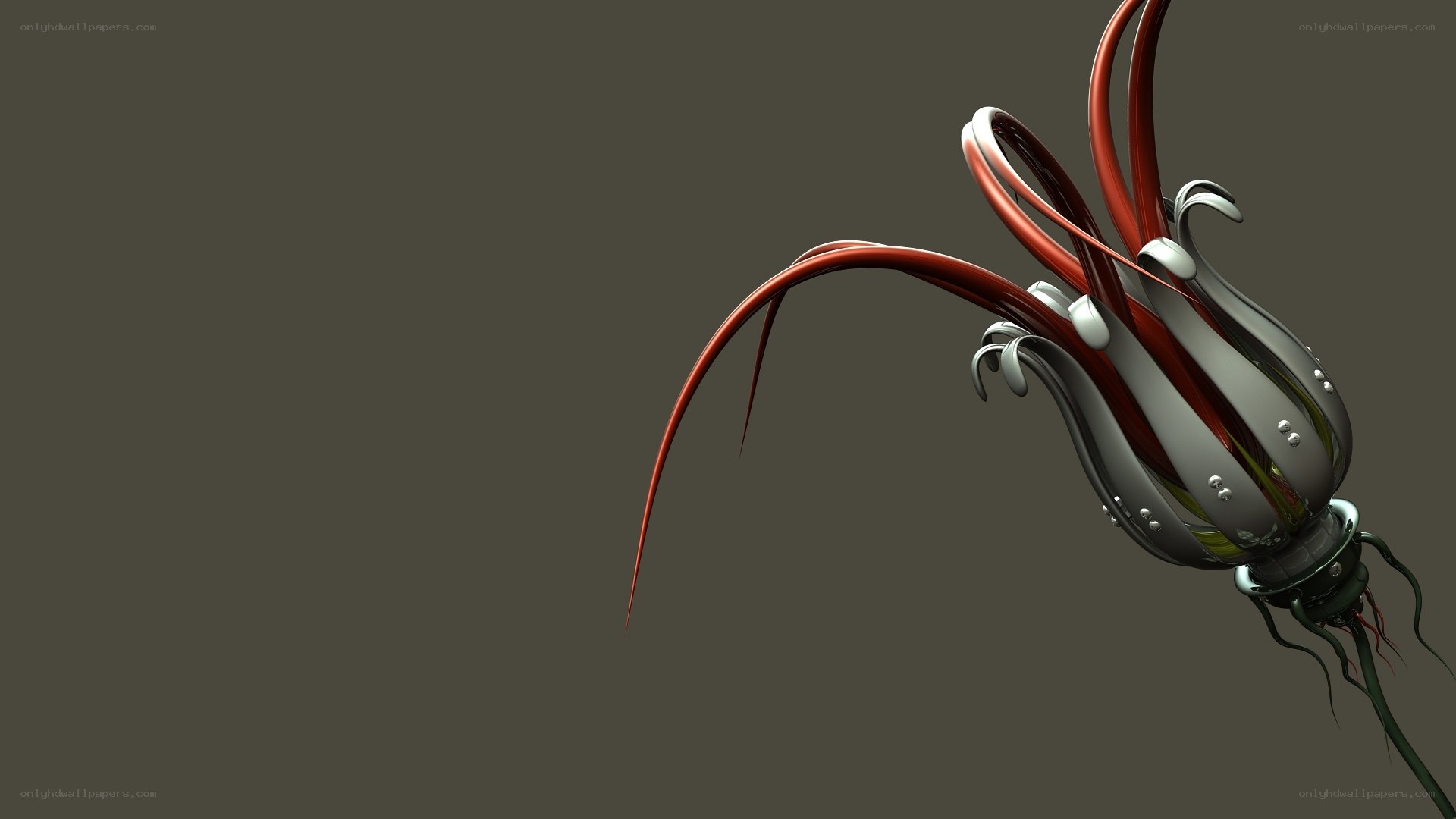 Futuristic organic design