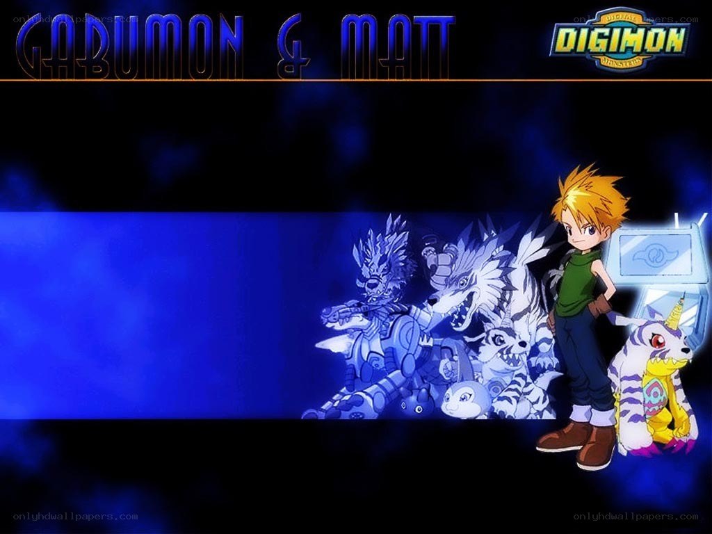 Gabumon and Matt with Digimon