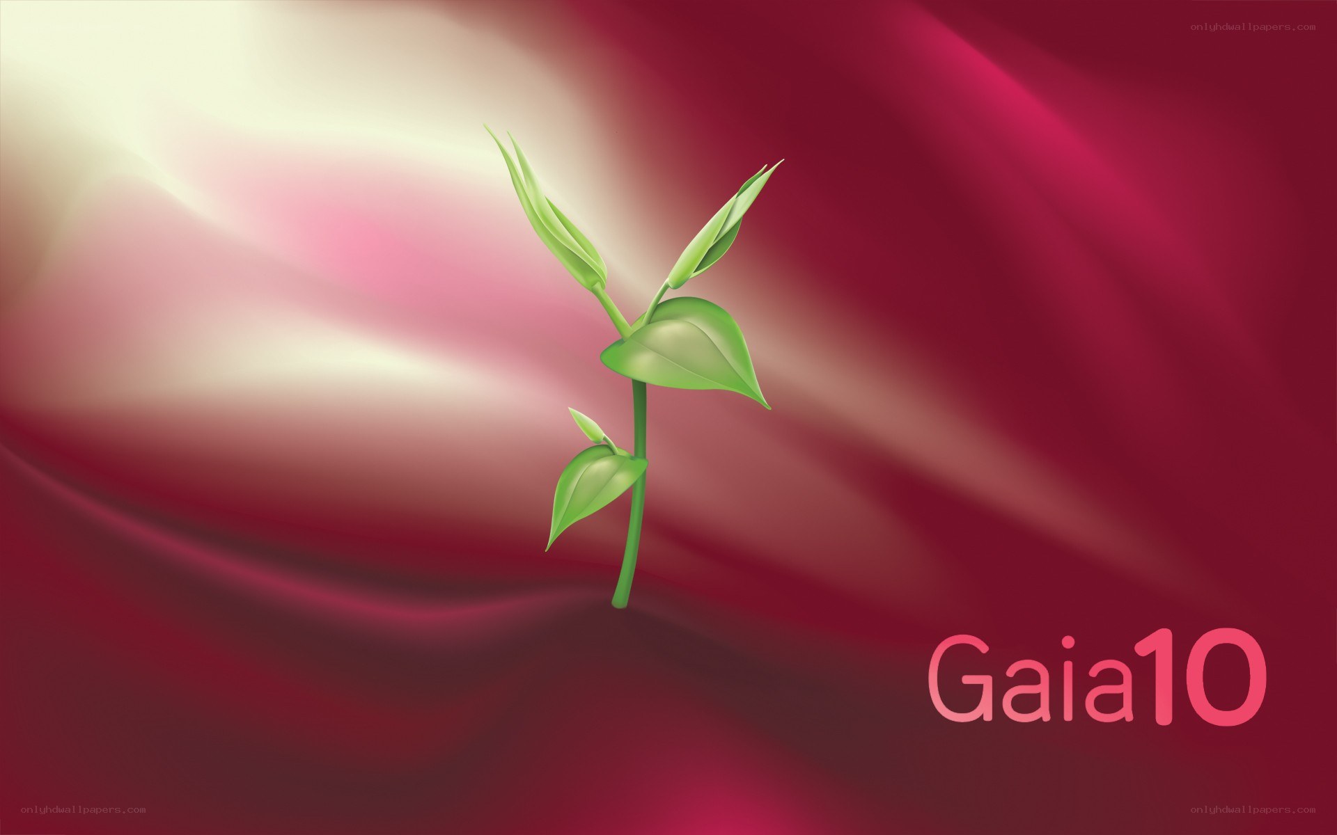 Gaia 10 logo with sprout
