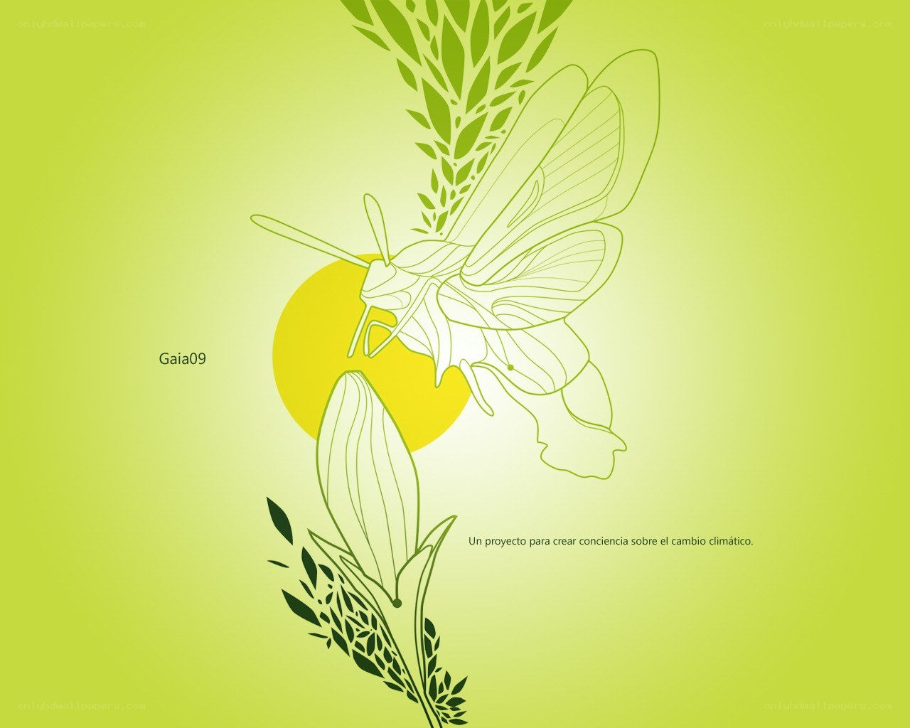 Gaia09 climate awareness project