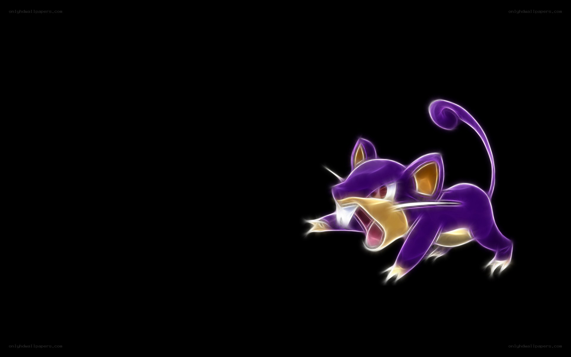 Galarian Rattata in action