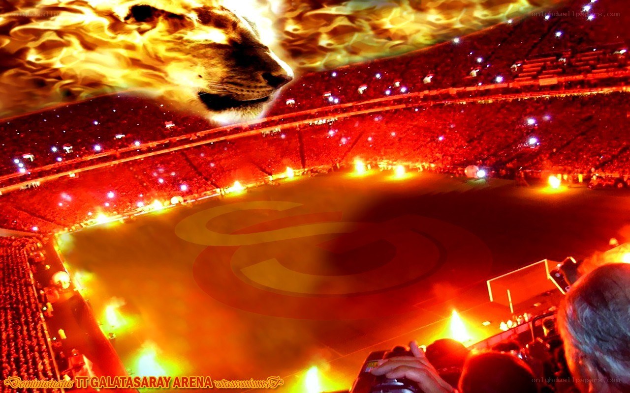 Galatasaray Arena Fire Lion