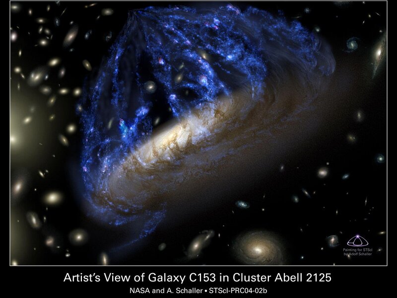 Galaxy C153 in Cluster