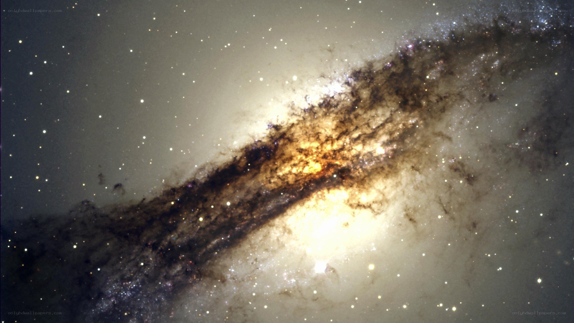 Galaxy with dark dust lanes