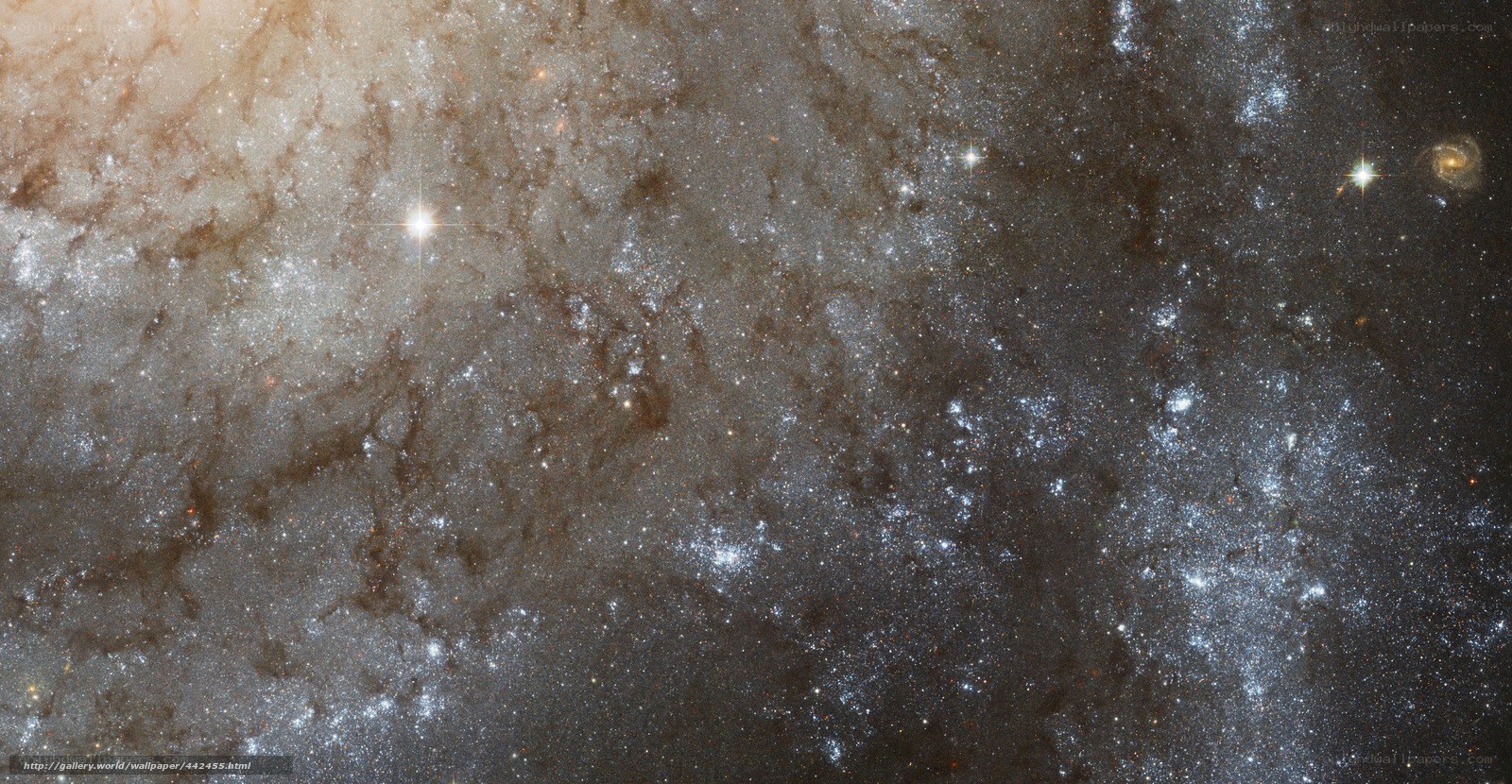 Galaxy with stars and nebula