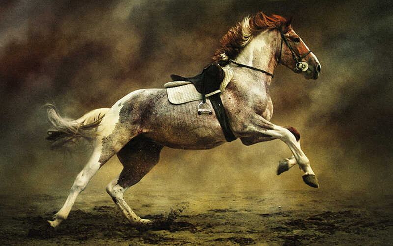 Galloping Horse