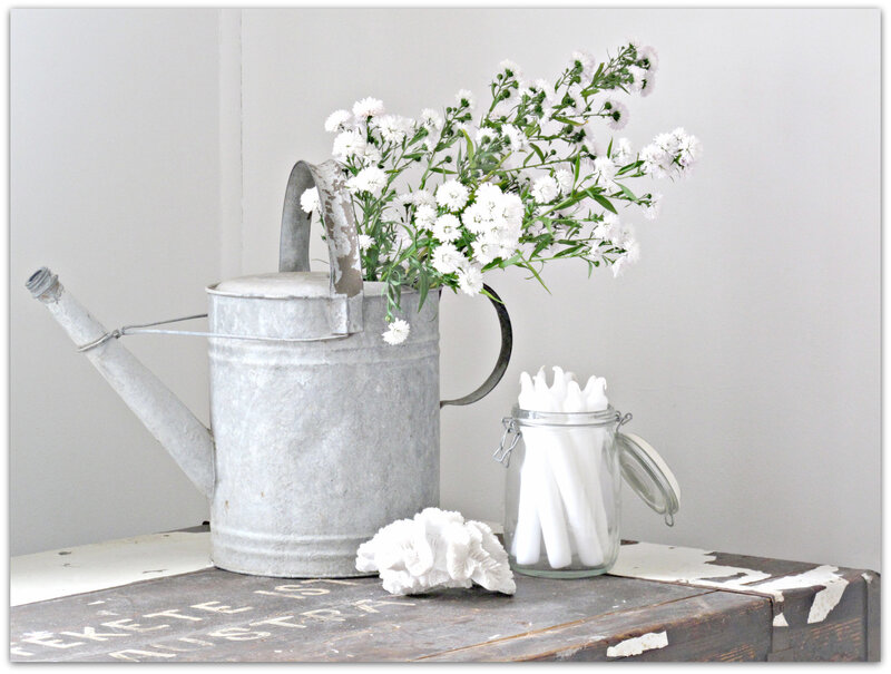 Galvanized Watering Can