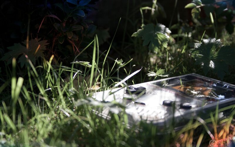 Game Boy in Grass