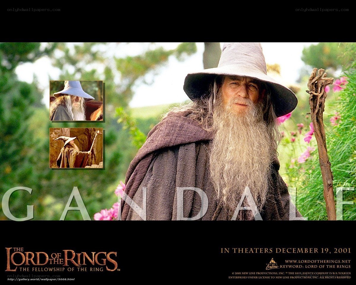 Gandalf from Lord of the Rings