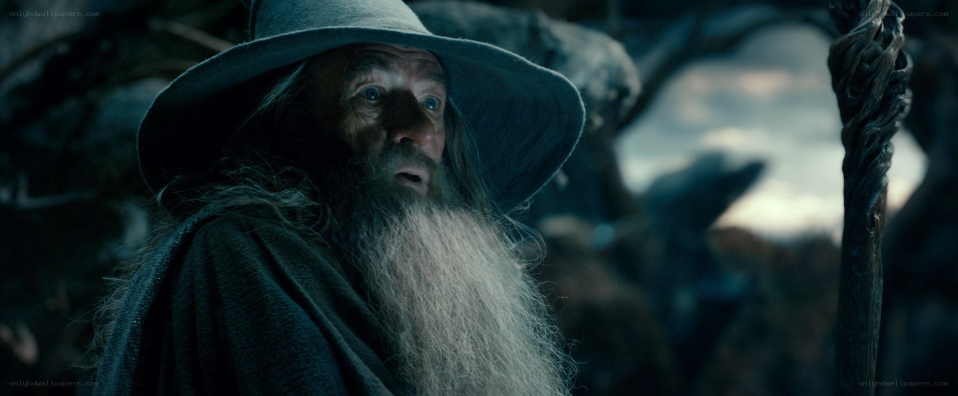 Gandalf in a dark forest