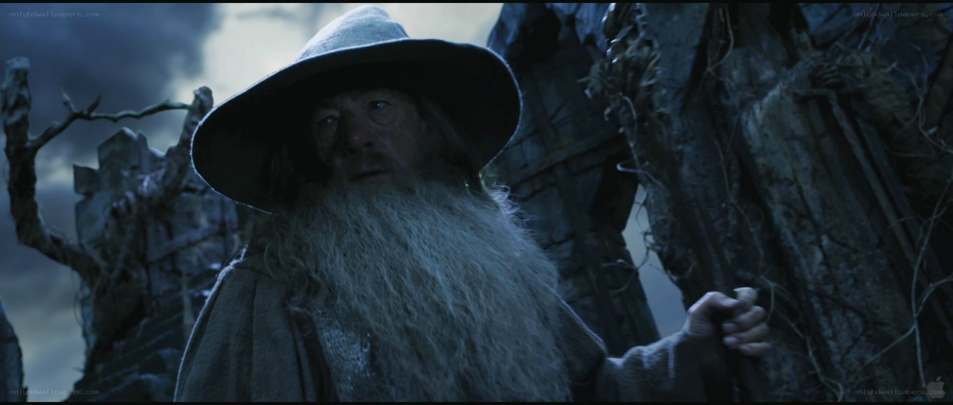 Gandalf in a dark forest