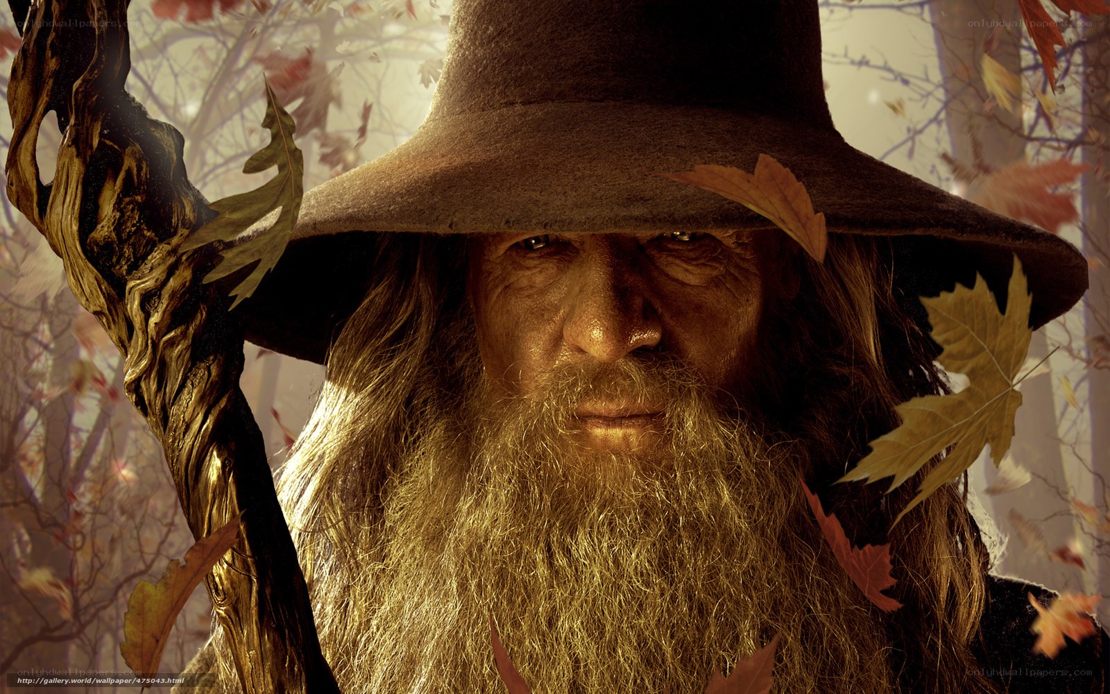 Gandalf in autumn forest