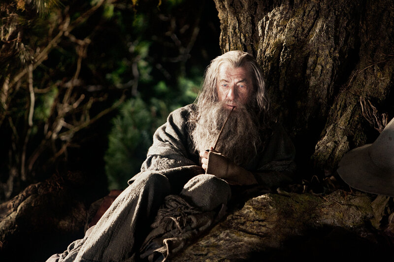 Gandalf in the forest