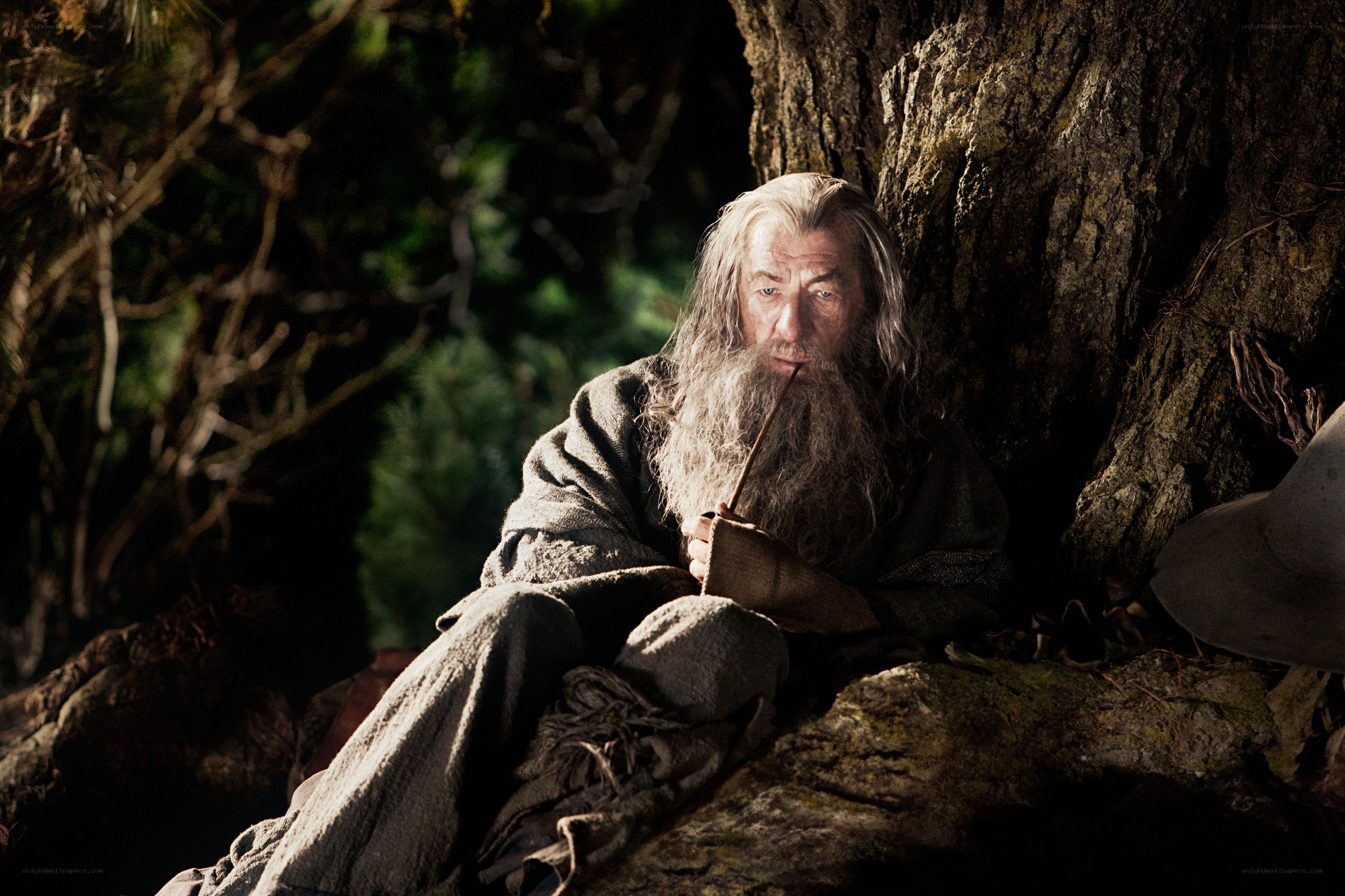Gandalf in the forest